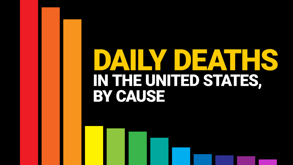 Infographic Daily Deaths In The United States By Cause Covid 19
